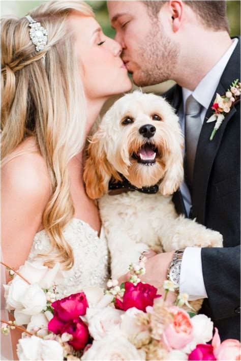 27 The Most Heart Melting Photos Of Dogs At Weddings Ever