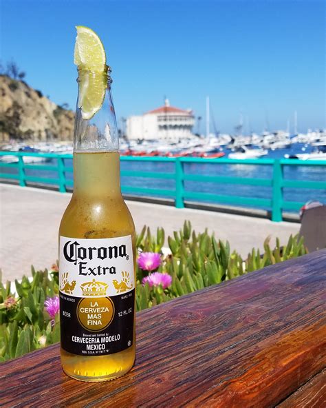 Corona with lime on Catalina Island, California. (No ...