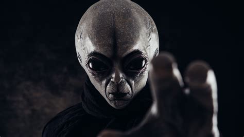 Crime News Here S How Long Experts Think It Will Take To Find Alien