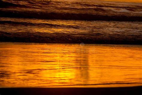 Beautiful Golden Sunset On Sea Beach Stock Image Image Of Silent