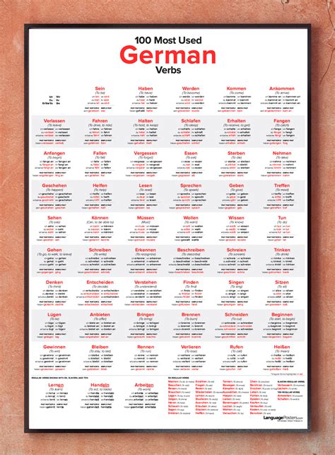 100 Most Used German Verbs Poster W Study Guide