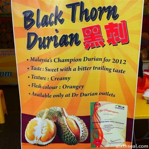 Some headlines were even heralding black thorn's hometown, nibong tebal as the new balik pulau for durian lovers. Durian Info: D 200 - Black Thorn or Durian Duri Hitam