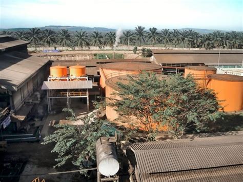 Pengelolaan Limbah Padat Pabrik Kelapa Sawit Pt Perkebunan Nusantara