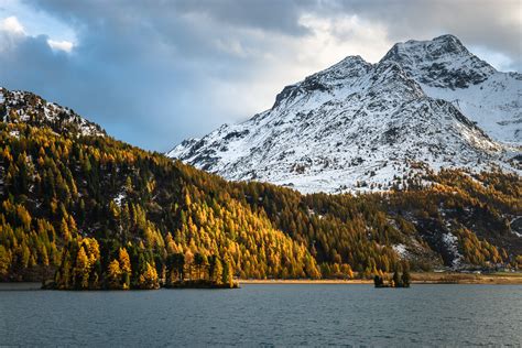 Colours Of Fall Autumn In The Swiss Alps At Lake Sils Nio Photography