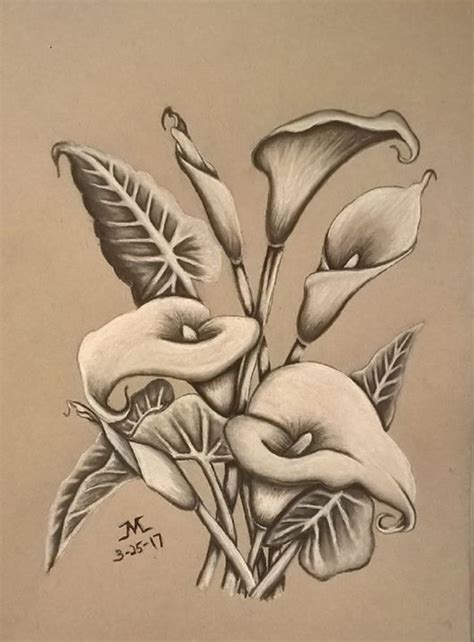 Charcoal drawing of Calla Lilies | Lilies drawing, Flower art drawing