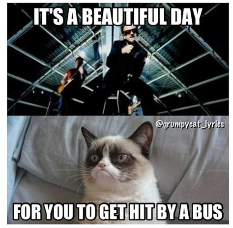 Grumpy Cat Sings Its A Beautiful Day By U2 Cute Animal Memes Funny
