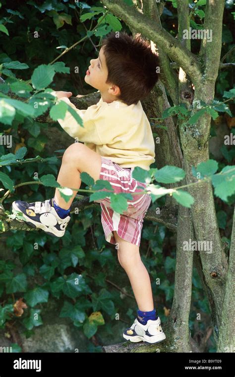 Little Boy Climbing Tree Stock Photo Alamy