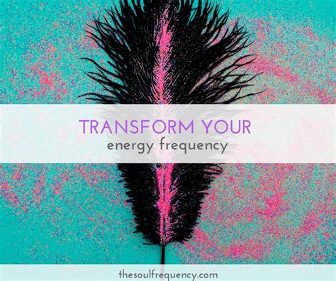Transform Your Energy Frequency The Soul Frequency
