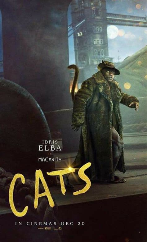 Cats (2019 film) refers to an upcoming musical fantasy adaptation of the stage musical cats. Macavity - 2019 Movie | 'Cats' Musical Wiki | Fandom