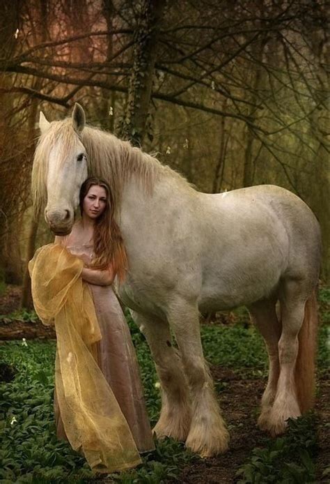 Horses In The Forest In The Enchanted Forest Horses Horse Love