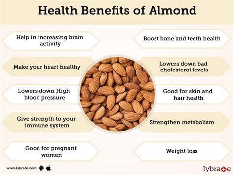 Almond Benefits And Its Side Effects Lybrate