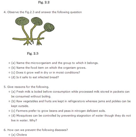 Important Questions For Class 8 Science Chapter 2 Microorganisms Friend And Foe