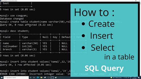 Create Table Insert And Select In Sql Mysql Beginners Commands