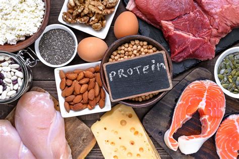 The Benefits and Risks of a High Protein Diet During Pregnancy | The Pulse