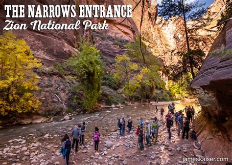 Exploring Riverside Walk Insider Guide Zion National Park