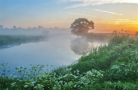 Misty Summer Dawn Belarus By Aleksandr Gvozd Туманный летний