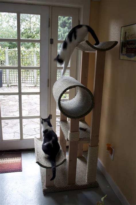 Diy Cat Tower Cat Tree Diy Cat Condo Diy Cat Bed
