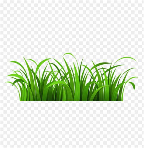 Free Download Hd Png Png Image Of Grass Patch With A Clear Background