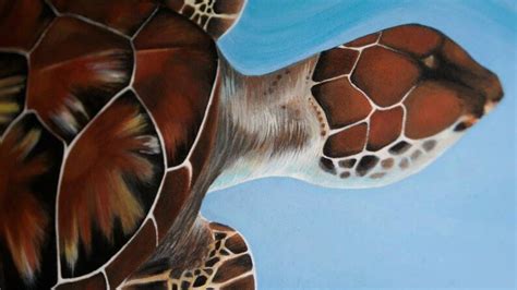 Original Acrylic Sea Turtle Painting Etsy