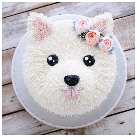 Dog Cake Ideas For Birthdays Pinterest Best Video Tutorial