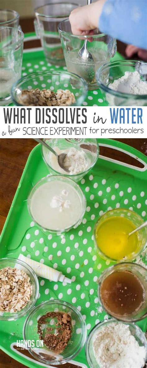 Easy Preschool Science Experiment To Learn What Dissolves In Water