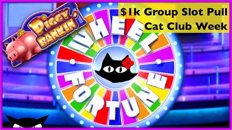 cat club week 🐈 1000 group slot pull 💰 the slot cats 🎰😸😸 youtube