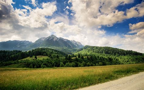Green Grassfield With Mountain Background Nature Mountain Summer
