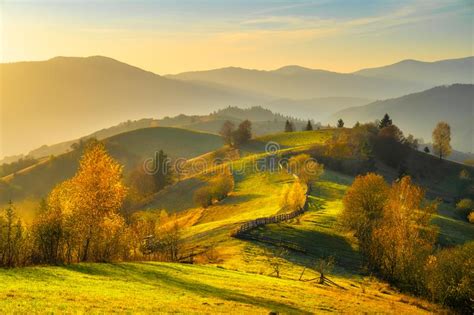 Autumn Forest Sunset Landscape In The Mountains Of Austria Stock Image