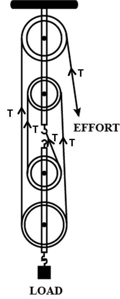Figure Shows A Block And Tackle System Of Pulleys Used To Knowledgeboat