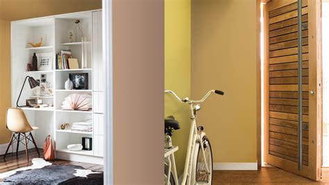 Bougenville gold rush via arnelia.co.za. Kembalikan kekaguman ke dinding Anda dengan kilau emas | Dulux