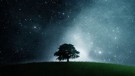 Hd Wallpaper Awesome Cool Lonely Tree Nature Other Hd Art Dark Field