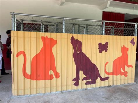 Inauguran Refugio Para Perros Gatos Y Razas PequeÑas En Cuetzalan El