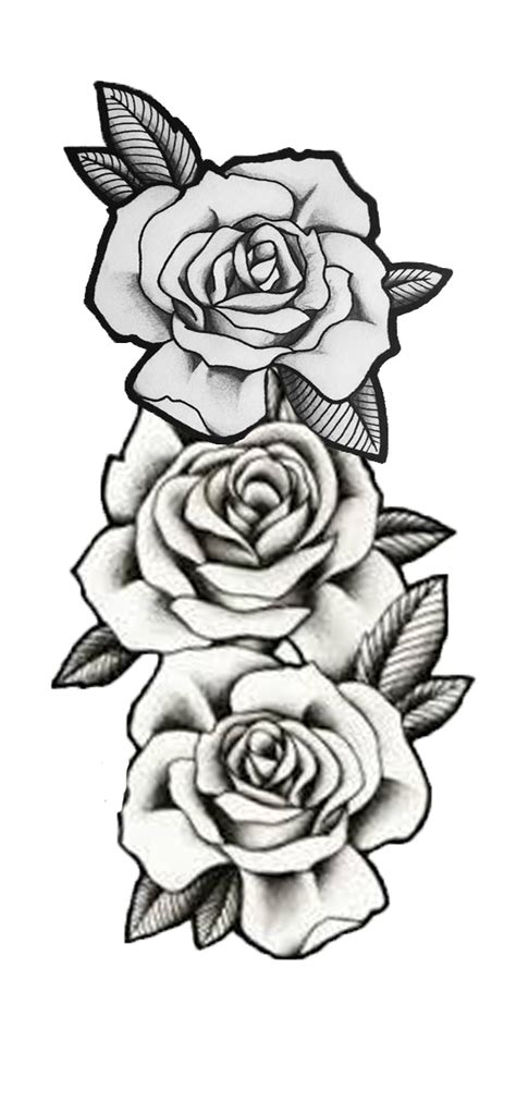 Roses Rosas Decalque Ilustração Tatuagem 3 Rosas Three