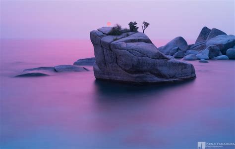 Wallpaper Sunset Rock Tree Photographer Bonsai Rock Kenji Yamamura For Mobile And Desktop
