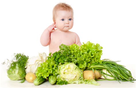 How To Introduce Leafy Greens To Babies And Toddlers Plant Based Juniors