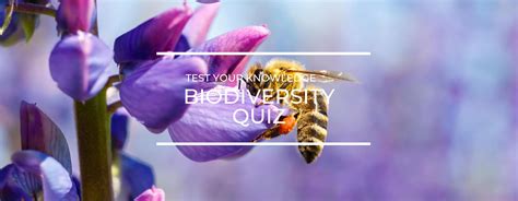 Biodiversity Loss Quiz Saving Earth Encyclopedia Britannica