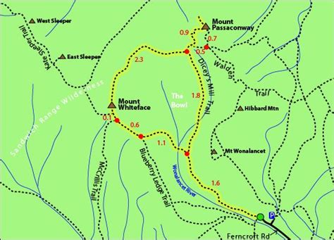 Mount Passaconway Mount Whiteface Blueberry Ledge Trail Diceys Milk