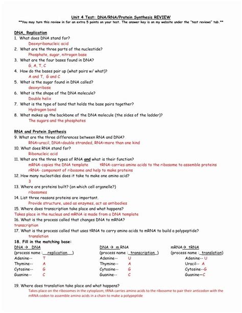Transcription is the process by which dna is copied (transcribed) to mrna, which carries the information needed for protein synthesis. Protein Synthesis Practice Worksheet Lovely Dna Rna and ...