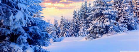 Winter Forest Triple Monitor Wallpapers Wallpaper Cave