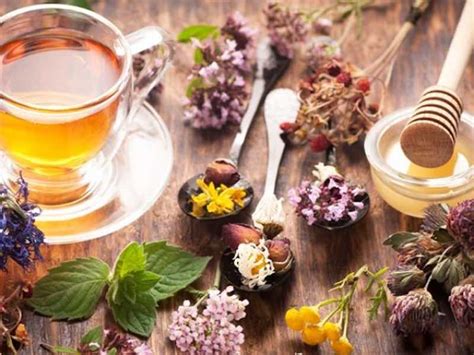 Herbal Teas For Detox And Weight Loss Pajibonline