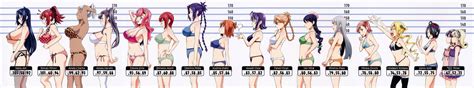 Bust Chart Of The Girls From The Anime “maken Ki” Rbustcharts