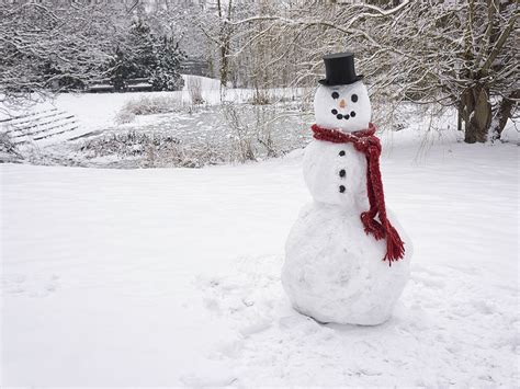 Just doin' what snowmen do best: Snowman thinks he's immortal now