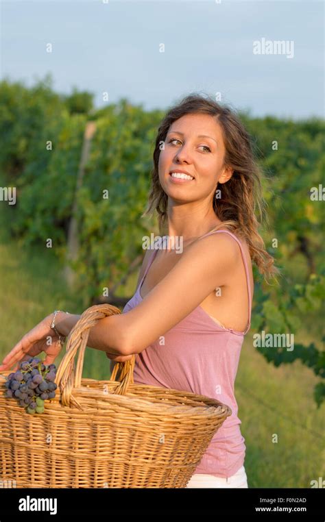 Grape Harvest High Resolution Stock Photography And Images Alamy