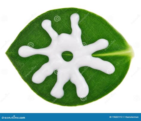 Sun Protective Cream Sample Over Green Leaf Stock Photo Image Of