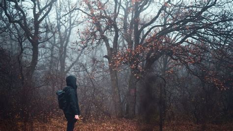 Photographing Fog Get A Mysterious Atmosphere In Your Photos Well