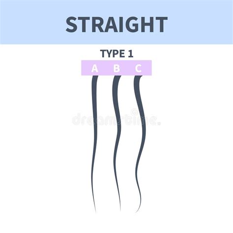 Straight Hair Type Chart Set Of Strands Growth Pattern Stock Vector