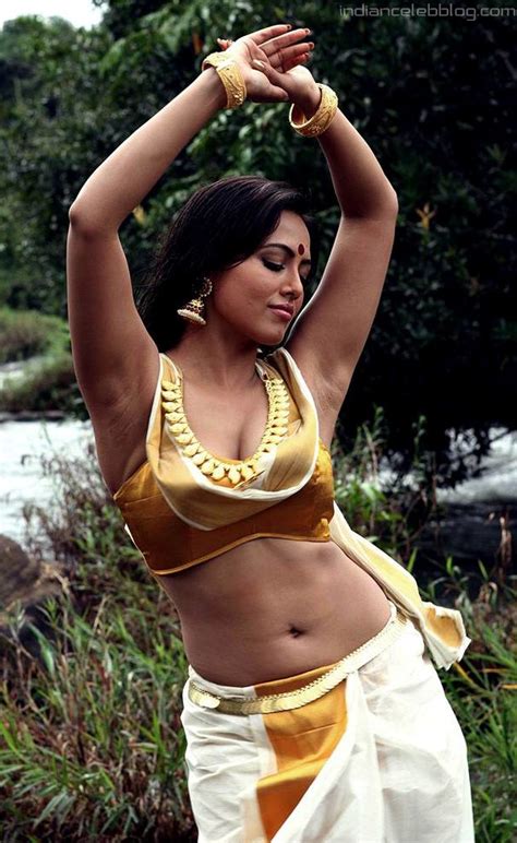 Sana Khan Climax Malayalam Movie Hot Armpits Hd Stills