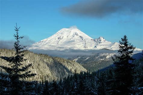 Mount Rainier Appearance 2 Photograph By Lynn Hopwood Fine Art America