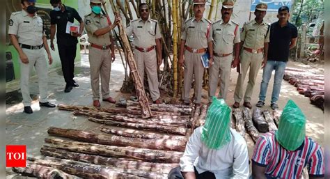 Andhra Pradesh Task Force Arrests Two Smugglers Seize Red Sanders Logs In Nellore District