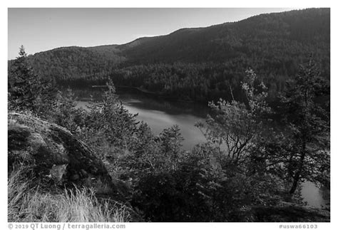Black And White Picture Photo Cascade Lake Moran State Park Washington